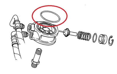 Opel oring ölkühler - oring,