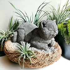 Entzückende schlafende katze - entzückende,