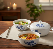 Arzberg Germany Porzellan 452