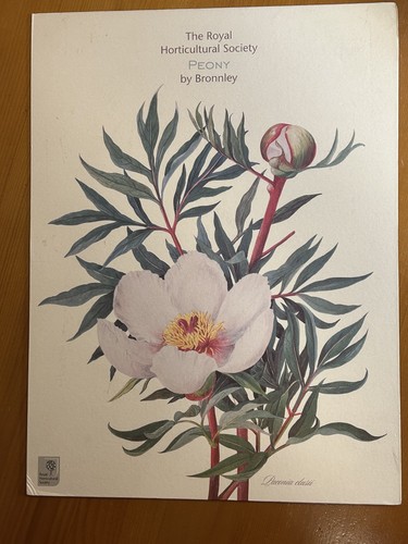 Vintage grosse rhs - vintage,