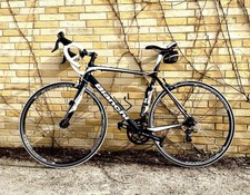 Bianchi  Impulso Rennrad, top