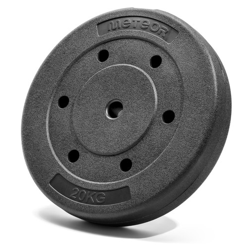Bumper plate 20kg - plate,