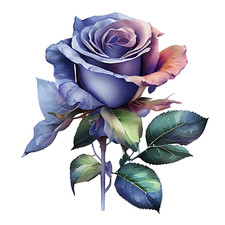 Autoaufkleber Sticker Rose Blumen Aufkleber 9X9 cm