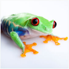 Wallario Premium Glasbild Wandbild Lustiger Frosch grün orange crazy frog Tiere