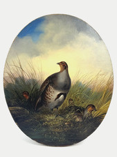 Gemälde Rebhuhn Vogel A. Rohlfs rechts unten signiert Berliner Jagdmaler 19. Jh.