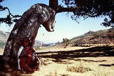 Todas - Am Rande des Paradieses - Clemens Kuby - 8 Dias - 5x5cm gerahmt (540)