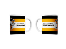 Pittsburgh penguins - pittsburgh,