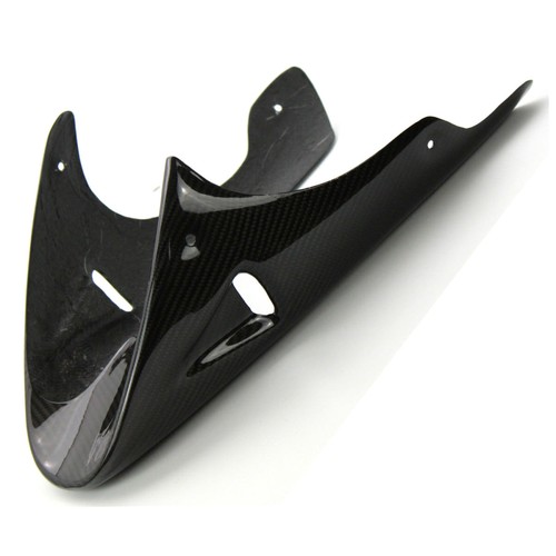 Carbon bugspoiler für ducati - bugspoiler,
