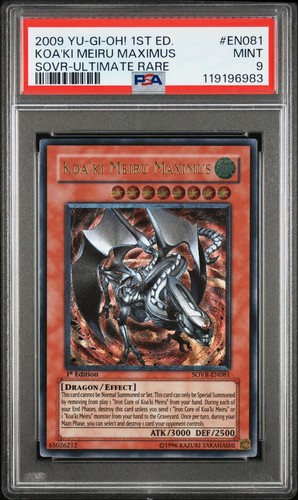 Koa ki meiru maximus - koa'ki,