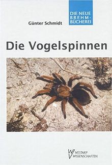 Die vogelspinnen eine - die,