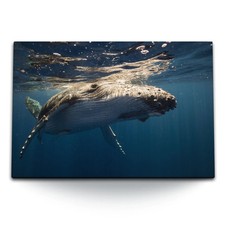 120x80cm wandbild auf - auf, leinwand