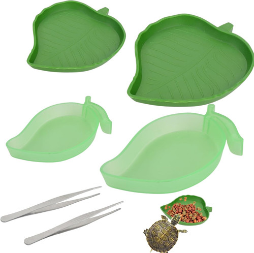 Reptilien wasserschale - reptilien,