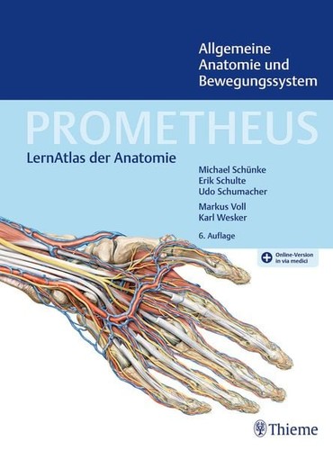 Prometheus allgemeine anatomie - prometheus,