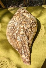 Riesiges einzigartiges Tibet. Muschel-Horn, Conch, Weiße Tara aus Tibet