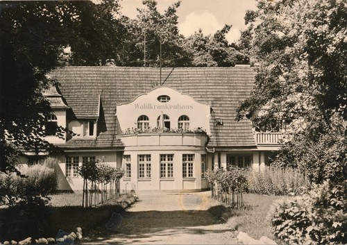 Lychen - (kr.,