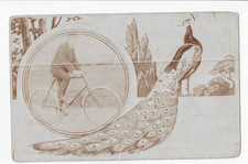 Pfau, Radfahrer, Fahrrad, 1909
