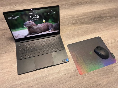 Razer blade stealth - stealth, 13