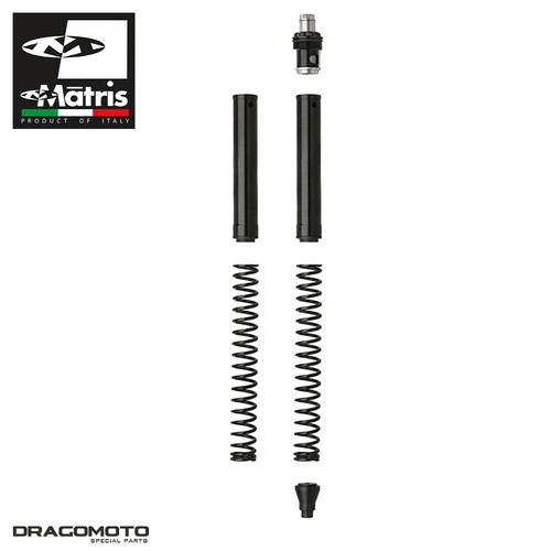 Gabel kit triumph - gabel,