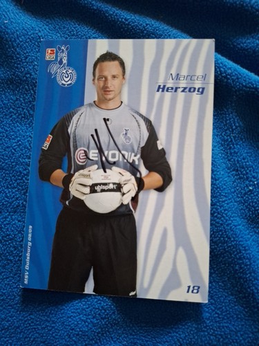 Marcel herzog msv - msv, duisburg