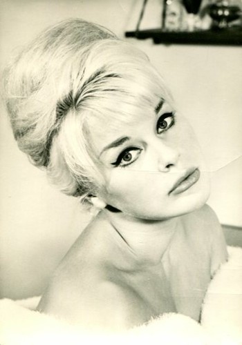 Elke sommer fotografie auf - fotografie,