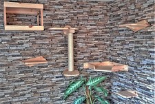 Katzen Kletterpark 6teilig