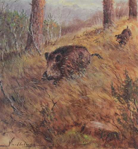 Keiler kunstdruck 37 cm - x,