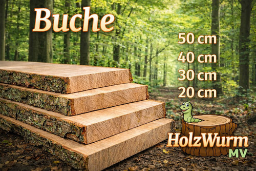 Buche holzbrett unbesäumt - buche,