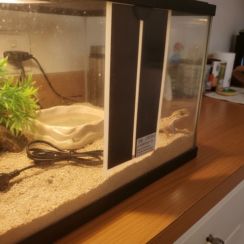 Reptilien heizmatte terrarium - heizmatte,