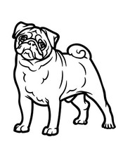 2X Pug Dogs Car Decal Sticker