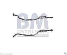 Kat Katalysator links