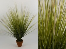 Dünengrasbusch 72cm -ohne