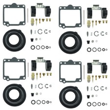 Vergaser Reparatursatz für