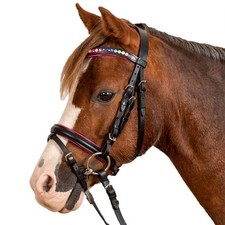 Waldhausen Schwarz MSH