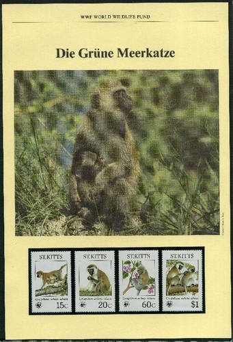 Kitts 1986 wwf grüne - kitts,