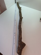 1 Stamm Drechselholz Buchsbaum