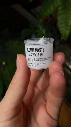 Keiki paste rooting - keiki-paste,