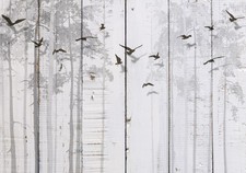 Vögel Grau Berge Abstrakt VLIES FOTOTAPETE 3D WOHNZIMMER TAPETE WANDBILD XXL