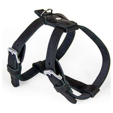 Das lederband hunde geschirr - lederband,