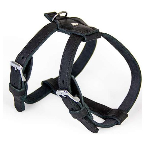 Das lederband hunde - lederband, geschirr