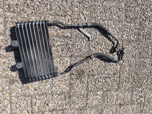 600 bandit kult ölkühler mit - bandit,