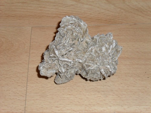 Sandrose wüstenrose mineral - sandrose,