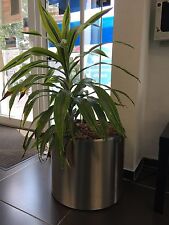 Blumenkübel Pflanzkübel Edelstahl " New Rondo" Ø42 x H48cm, gebürstet, Rollen