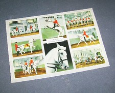 alte Postkarte Wiener Spanische Hofreitschule Lippizaner Pferde Wien PAG 46156