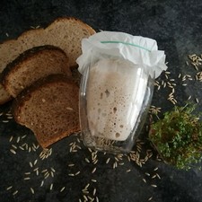 Roggen-Sauerteig, 60