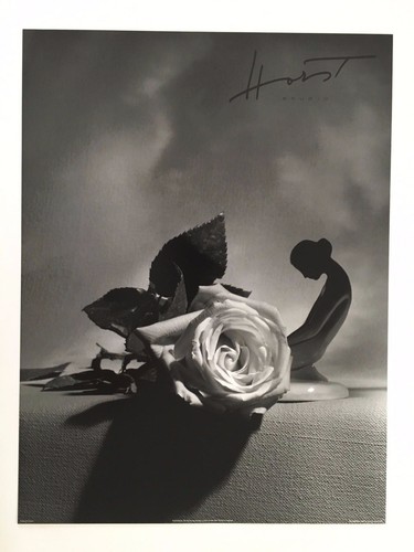 Horst eva - horst, 'eva