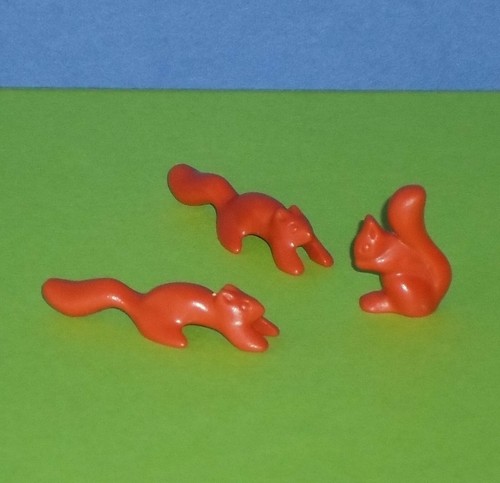 Eichhörnchen aus