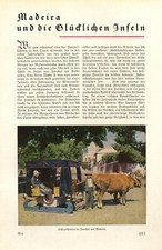 Madaira und die Glücklichen