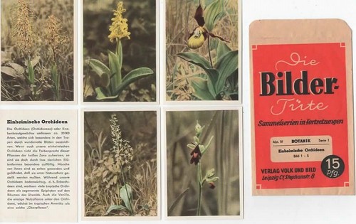 Bildertüte botanik 8 - bildertüte,