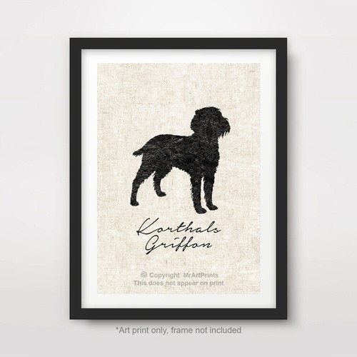 Korthals griffon hund - korthals,