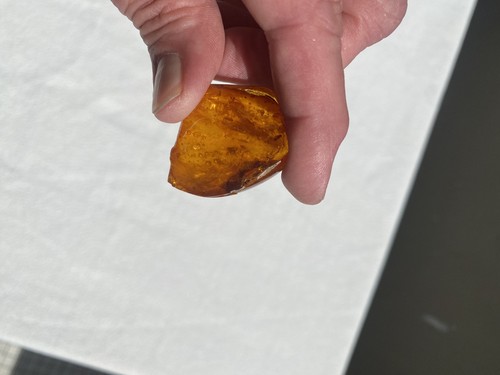 Echter bernstein 95g - bernstein, fossile